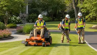 Tree service crew in Redmond, WA providing professional tree removal and care for residential properties