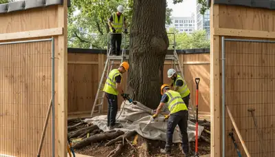 Root protection for trees in Redmond, WA by Redmond Tree Removal to prevent soil and construction damage