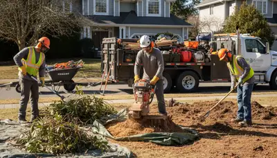 Shrub removal service in Redmond, WA for overgrown bushes and yard cleanup