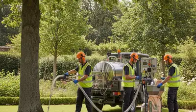 Tree fertilizing service for healthy trees in Redmond, WA by Redmond Tree Removal