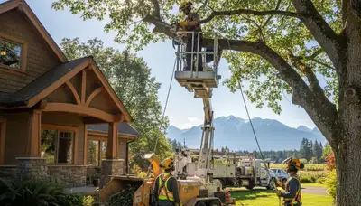 Tree service crew in Redmond, WA providing professional tree removal and trimming