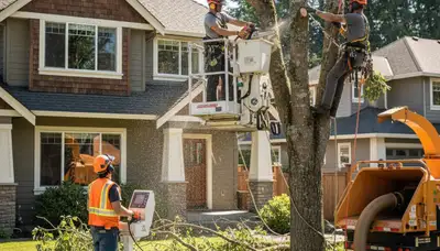 Tree service crew in Redmond, WA providing professional tree removal and pruning for homeowners