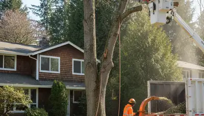 Tree service team in Redmond, WA providing professional tree removal and trimming services