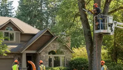 Tree service crew in Redmond, WA providing professional tree removal and trimming near residential property